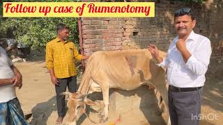 Follow up case of Rumenotomy l Recurrent tympani l Bloat l dr umar khan [upl. by Iadrahc939]