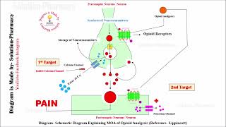 Class 71 Opioid Analgesic Mechanism of Action  Medicinal Chemistry 01  BPhamacy 04th semester [upl. by Nomzzaj]