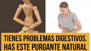 COMO HACER UN PURGANTE CASERO JUGO PURGANTE PARA ELIMINAR PARASITOS [upl. by Einnoj334]