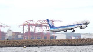 Plane Spotting Sydney Highlights A330s [upl. by Breh691]