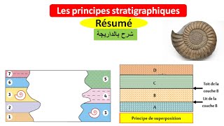 Les principes stratigraphiques et léchelle stratigraphique ملخص بالداريجة [upl. by Iong219]