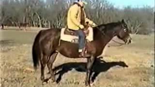 5 Basic Steps in Horse Training Training Your Horse Turn On Haunches hindquarters [upl. by Labinnah583]