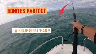 Journée EXTRAORDINAIRE avec les BONITES la FOLIE sur LEAU 🔥🐟 [upl. by Marja]