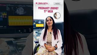 प्रेगनेंसी का सत्रवा हफ्ता 17th week of pregnancy shorts weekbyweekpregnancy pregnancy [upl. by Nirtiak]