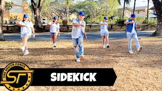 SIDEKICK  Dj Lenard Remix   Dance Trends  Dance Fitness  Zumba [upl. by Emylee]