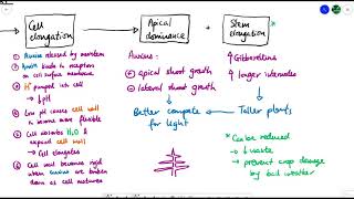 A2 Biology  Plant growth and development OCR A Chapter 161 [upl. by Elletnahc]