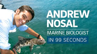 A Scientists Life in 99 Seconds Marine Biologist Andrew Nosal [upl. by Wyne]