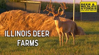 Illinois Deer Farms  Deer amp Wildlife Stories  Deer Farming [upl. by Aroved]