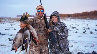 My Wifes First Mallard Hunt in South Dakota She Loved it [upl. by Anerdna731]