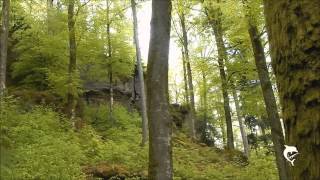 Hiking near St Quirin in the French Vosges [upl. by Hgieloj]