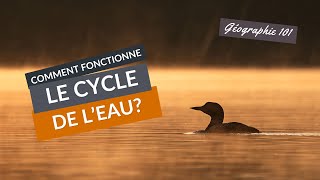 COMMENT fonctionne le CYCLE de lEAU [upl. by Rattan]