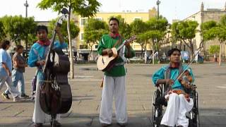 Huichol Traditional Music Viento Huichol [upl. by Yoshiko]