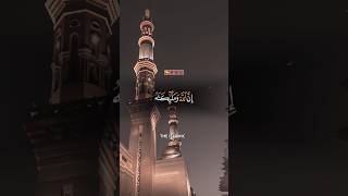 QuRaN pakquran foryou tilawat islamicvideo reels unfrezzmyaccount islamicreels Hollybook [upl. by Skillern]