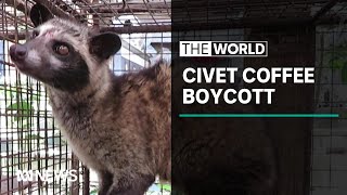 Hidden video reveals caged civet cats living in terrible conditions  The World [upl. by Rehpotirhc39]