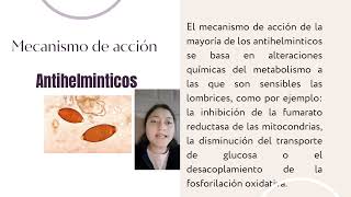 Fármacos Antiprotozoarios y Antihelminticos [upl. by Lombardo]