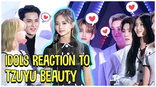 Kpop Idols Reaction To TWICE Tzuyu Beauty [upl. by Ledniahs]