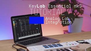 Tutorials  KeyLab Essential mk3  Using Analog Lab [upl. by Anicnarf]