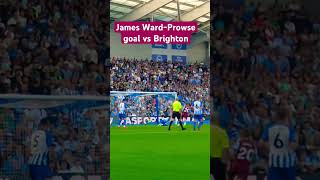 James WardProwse goal vs Brighton [upl. by Farro765]