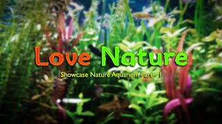 LOVE NATURE  Showcase Nature Aquarium  Part  1 aquariumhobby plantedtank natureaquarium [upl. by Edlin]