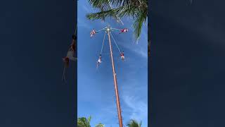 Dance Of the Flyers Ceremony at Costa Maya Mexico youtubeshorts [upl. by Beale]