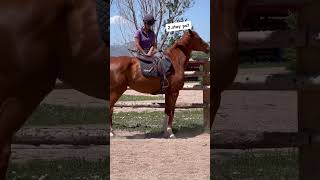 horseplay equestrian horseenthusiast ottb horsefan [upl. by Davide667]