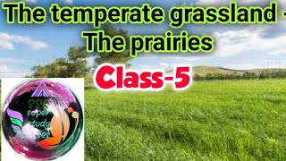 Temperate grasslandsthe prairiesch6class5Sst Geography [upl. by Gnim256]