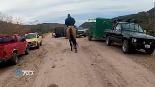 EL PARRAL DE LAS HUERTAS JEREZ ZACATECAS [upl. by Averi]