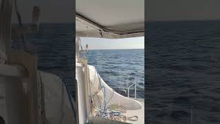 Ripping upwind aboard Switch 51 [upl. by Atinet]