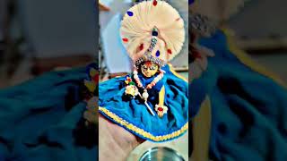 Laddu gopal ji shorts viral song [upl. by Schonfeld]