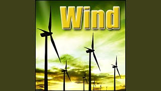 Wind  Gusty Howling Wind with Whistles Weather Wind [upl. by Adlar]