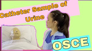 Catheter Sample of Urine CSU OSCE 2021 [upl. by Malcom]