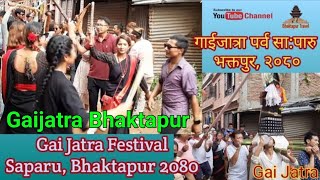 Gai Jatra  Gaijatra Bhaktapur 2080  Gai Jatra Festival  Khwopa Jatra Saparu BhaktapurTravel [upl. by Nasah]