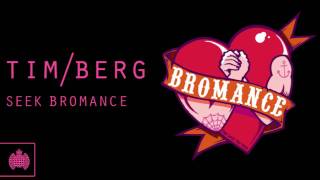 Tim Berg  Seek Bromance Aviciis Vocal Edit [upl. by Yednarb]