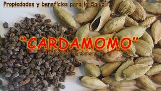 EL CARDAMOMO  PROPIEDADES Y BENEFICIOS PARA LA SALUD [upl. by Ennad]