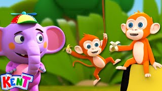 Monkey Monkey Monkey Song  More Daily Kids Songs And Rhymes By Kent The Elephant [upl. by Eidnar]