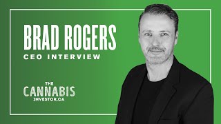 TCI Interviews Brad Rogers CEO of Super State Operator Red White amp Bloom 🇨🇦CSE RWB  🇺🇸OTC TDRYD [upl. by Irena206]