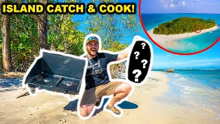 Saltwater Fishing CATCH CLEAN COOK on an ABANDONED ISLAND [upl. by Ahseinet708]