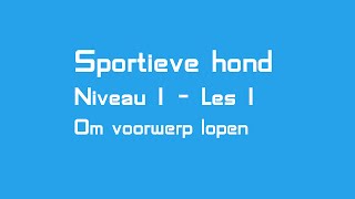 Sportieve hond  Les 1  Links en rechts om voorwerp lopen [upl. by Noet]