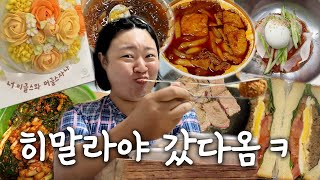 N잡러브이로그🤹한국 좋아 브이로그🩵히말라야 갔다와서 세상 제일 달콤한 한국에서의 일상✌️이리도 달콤할 수 있을까 너무 달콤해서 혈당 스파이크 옴💫 [upl. by Harihs]