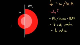 Clinical Approach to Anemia [upl. by Adnarim734]