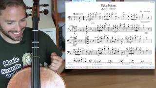 STANDCHEN Schubert Cello Lesson [upl. by Monk]