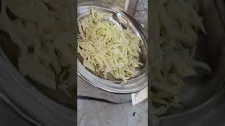 Giving Brassica oleracea bandgobhii to my partridge zarkawaz partridgevoice partridge birds [upl. by Ahsocin]