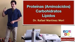 Nutrición Proteínas Aminoácidos Carbohidratos Lípidos [upl. by Nahtaj]