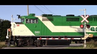 GO TRAIN COMPILATION GO trains flying North on the CN Newmarket Sub with good and bad horns [upl. by Malha]