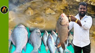 Big Katla Fish Sambar  Fish Curry  Fish Recipes  Village Cooking In Kannada  Akshay Food Factory [upl. by Stanwin889]