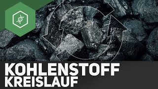 Kohlenstoffkreislauf – Stoffkreisläufe 3 [upl. by Nodnas391]