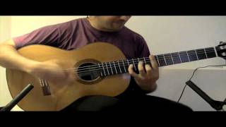 Harry Potter Hedwigs Theme por Buleria Flamenco Guitar [upl. by Radack942]