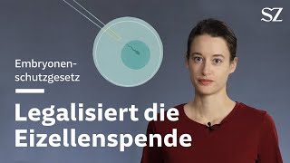 Legalisiert die Eizellenspende [upl. by Iridissa]