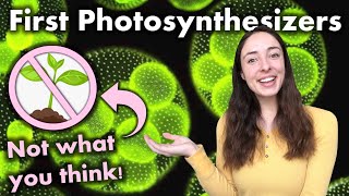 Evolution of Photosynthesis Were Anoxygenic or Oxygenic Phototrophs First  GEO GIRL [upl. by Namyac]