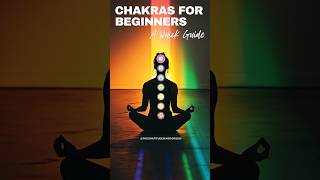 CHAKRAS for BEGINNERS – A Quick Guide [upl. by Sol303]